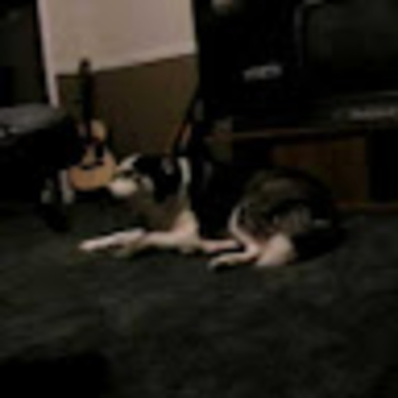 Meet your Posher, Jeremy - Picture 1 of 1